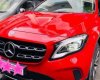 Mercedes-Benz GLA-Class 2017 - Bán Mercedes GLA200 đời 2017, màu đỏ, nhập khẩu nguyên chiếc