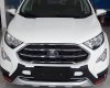 Ford EcoSport Titanium 2018 - Bình Phước bán xe Ford Ecosport Titanium, giá thấp nhất. LH 0898.482.248