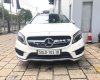 Mercedes-Benz GLA-Class GLA45 AMG 2016 - Bán xe Mercedes GLA45 AMG 2016, màu trắng, xe nhập