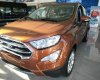 Ford EcoSport Ecoboost 1.0 2018 - Bán Ford Ecosport 1.0 xe SUV đa dụng, xe có sẵn giao ngay, hỗ trợ trả góp 80%