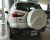 Ford EcoSport   2018 - Bán Ford EcoSport Trend AT, Titanium, 1.0 Ecoboots năm sản xuất 2018, màu trắng