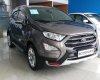 Ford EcoSport Titanium 1.0 Ecoboost 2018 - Bán Ford EcoSport Titanium 1.0 Ecoboost sản xuất 2018, màu nâu, giá 669tr