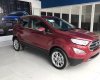 Ford EcoSport 1.0 L Titanium 2018 - Giao ngay Ford EcoSport 1.0 L Titanium 2018, màu đỏ, trắng, hỗ trợ mọi thủ tục lăn bánh, 0968912236