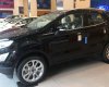 Ford EcoSport Titanium 2018 - Bán Ford EcoSport giá tốt nhất năm, hỗ trợ trả góp - Lh 0908.909.660