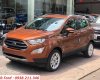 Ford EcoSport 2019 - City Ford bán Ecosport tặng gói khuyến mãi ok, liên hệ ngay: 0938211346 Để nhận chương trình mới nhất