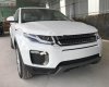 LandRover Evoque 2017 - Bán xe LandRover Range Rover Evoque đời 2017, màu trắng, nhập khẩu