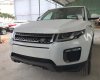 LandRover Evoque 2017 - Bán xe LandRover Range Rover Evoque đời 2017, màu trắng, nhập khẩu