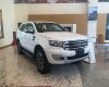 Ford Everest Titanium 2.0L Trend AT (4X2) 2018 - Bán ô tô Ford Everest AT đời 2018, màu trắng, nhập khẩu, giá tốt nhất miền Bắc, hỗ trợ từ A-Z