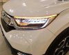 Honda CR V G 2018 - Bán ô tô Honda CR V G đời 2018, màu trắng, xe nhập