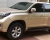 Toyota Prado Txl 2010 - Bán Toyota Prado TXL sản xuất 2010, màu ghi vàng, nhập khẩu nguyên chiếc