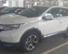 Honda CR V G 2018 - Bán Honda CR V G năm 2018, màu trắng, nhập khẩu