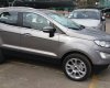 Ford EcoSport Embient 1.5L MT 2018 - Cần bán Ford EcoSport 1.5 tại Hải Dương, sản xuất 2018, tặng ngay 2 năm BHVC, camera, lót sàn