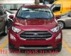 Ford EcoSport 2019 - City Ford Cần bán xe Ford EcoSport , giao ngay đủ màu, hỗ trợ ngân hàng lên đến 90%