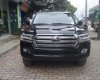 Toyota Land Cruiser 2016 - Cần bán Toyota Land Cruiser năm sản xuất 2016, màu đen