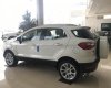 Ford EcoSport Titanium 1.5L AT 2018 - Bán Ford EcoSport Titanium 1.5 năm 2018, màu trắng tại Ninh Bình, LH 0989.022.295