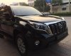 Toyota Prado Txl  2016 - Cần bán Toyota Prado TXL năm sản xuất 2016, màu đen, nhập khẩu nguyên chiếc