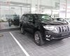 Toyota Prado 2018 - Bán Toyota Prado đời 2018, màu đen, nhập khẩu