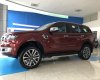 Ford Everest Titanium 2.0L AT  2018 - Bán xe Ford Everest AT đời 2018, Lai châu, tặng gói phụ kiện, thủ tục lăn bánh chúng tôi lo, sẵn màu, giao ngay
