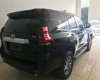 Toyota Prado VX 2018 - Bán Toyota Land Cruise Prado VX đời 2019, màu đen, xe và giấy tờ giao ngay, đăng ký trong ngày. LH: 0906223838