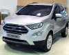 Ford EcoSport 2018 - Bán Ford Ecosport giá chỉ từ 545 triệu, tặng gói khuyến mại hấp dẫn, Mr Nam 0934224438 - 0963468416