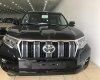 Toyota Prado VX 2018 - Bán Toyota Land Cruise Prado VX đời 2019, màu đen, xe và giấy tờ giao ngay, đăng ký trong ngày. LH: 0906223838