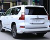 Lexus GX 460 2018 - Bán Lexus GX GX460 đời 2018, màu trắng, nhập khẩu nguyên chiếc