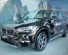 BMW X1 sDrive18i 2018 - Bán xe BMW X1 sDrive18i năm 2018, màu nâu, nhập khẩu