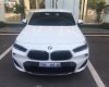 BMW X4 xDrive20i 2018 - Bán xe BMW X4 xDrive20i sản xuất 2018, màu trắng, nhập khẩu nguyên chiếc