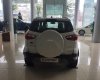 Ford EcoSport Titanium 1.0 2018 - Bán Ford Ecosport 1.0L AT 2018 tại Cao Bằng, khuyến mãi lớn, đủ màu, hỗ trợ vay 80%. L/h: 0989022295