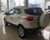 Ford EcoSport Titanium 1.0 2018 - Bán Ford Ecosport 1.0L AT 2018 tại Cao Bằng, khuyến mãi lớn, đủ màu, hỗ trợ vay 80%. L/h: 0989022295