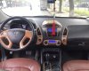 Hyundai Tucson 2010 - Bán xe Hyundai Tucson sản xuất 2010, giá tốt