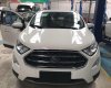 Ford EcoSport 2018 - Bán Ford Ecosport giá chỉ từ 545 triệu + gói KM phụ kiện hấp dẫn, Mr Nam 0934224438 - 0963468416B