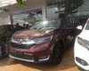 Honda CR V L 2018 - Bán Honda CR V L sản xuất năm 2018, màu đỏ, nhập khẩu