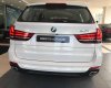 BMW X5 2018 - Bán xe BMW X5 giá tốt, giao xe ngay, hỗ trợ trả góp
