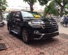 Toyota Land Cruiser VX.R 4.6 AT 2016 - Bán ô tô Toyota Land Cruiser VX.R 4.6 Model 2017, màu đen, xe nhập Trung Đông mới 100%
