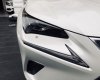 Lexus NX 300 2017 - Bán xe Lexus NX 300 2017 màu trắng