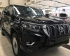 Toyota Prado   2018 - Bán Toyota Prado đời 2018, màu đen, nhập khẩu