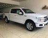 Ford F 150 Platium 2019 - Bán ô tô Ford F 150 Platium đời 2019, màu trắng, xe nhập Mỹ