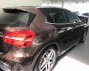 Mercedes-Benz GLA-Class GLA45 AMG 2017 - Bán xe GLA45 2017 màu nâu, nội thất đen, chính hãng