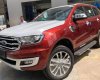 Ford Everest   Bi-Turbo   2018 - Bán Ford Everest Bi-Turbo năm sản xuất 2018, màu đỏ - Giao xe ngay tại Phú Quốc