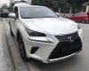 Lexus NX 2018 - Bán Lexus NX300 sản xuất 2018 màu trắng, giao ngay