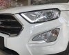 Ford EcoSport Titanium Ecoboost 1.0L 2018 - Bán ô tô Ford EcoSport Titanium Ecoboost 1.0L đời 2018, màu trắng