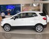 Ford EcoSport Titanium Ecoboost 1.0L 2018 - Bán ô tô Ford EcoSport Titanium Ecoboost 1.0L đời 2018, màu trắng