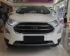 Ford EcoSport Titanium Ecoboost 1.0L 2018 - Bán ô tô Ford EcoSport Titanium Ecoboost 1.0L đời 2018, màu trắng