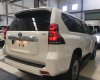 Toyota Land Cruiser Prado VX 2018 - Cần bán rất gấp Toyota Land Cruiser Prado, màu trắng ngọc trai
