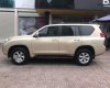 Toyota Prado 2010 - Bán Toyota Prado sản xuất năm 2010, xe nhập như mới