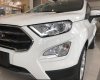 Ford EcoSport 2019 - Bán Ford Ecosport giá chỉ từ 545 triệu + gói km phụ kiện hấp dẫn, Mr Nam 0934224438 - 0963468416