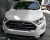Ford EcoSport  Titanium 1.5AT 2019 - Bán xe Ford EcoSport Titanium 1.5AT năm sản xuất 2019, màu trắng