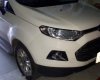 Ford EcoSport 1.5L Titanium 2017 - Bán ô tô Ford EcoSport 1.5L Titanium năm 2017, màu trắng chính chủ, giá chỉ 500 triệu