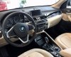 BMW X1 sDrive18i 2018 - Cần bán BMW X1 sDrive18i đời 2018, màu nâu, nhập khẩu